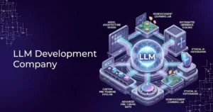 LLM Development Company